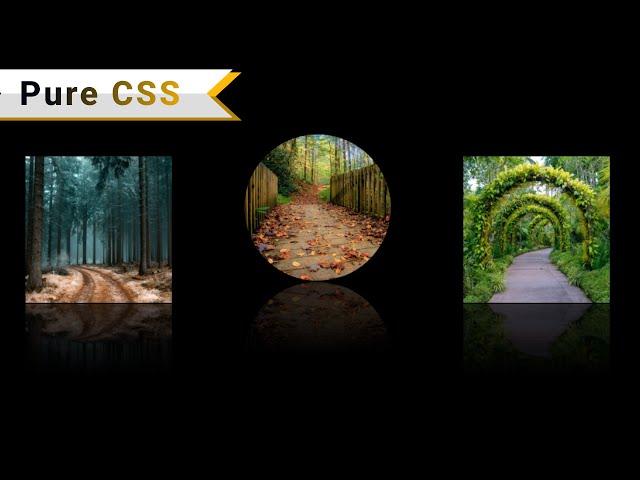 Pure CSS Image Reflection Effect | #DeveloperHub