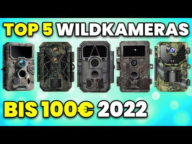 Wildkamera Test 2022 (TOP 5)  Wildkamera kaufen (bis 100€)