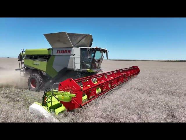 CLAAS LEXION 8800 - Kym Berry | CLAAS Harvest Centre