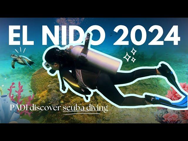 EL NIDO 2024  | Scuba Diving, Hostel Stay & Budget Breakdown