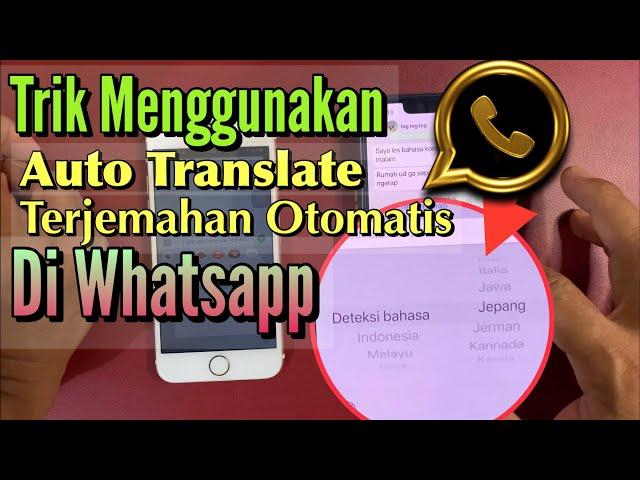 Trik Menggunakan Translate di Whatsapp