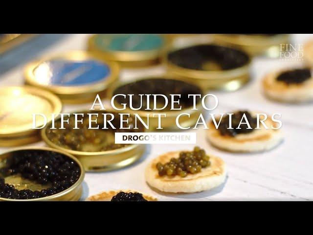 A Guide to Different Types of Premium Caviars | Drogo's Kitchen | Fine Food Specialist