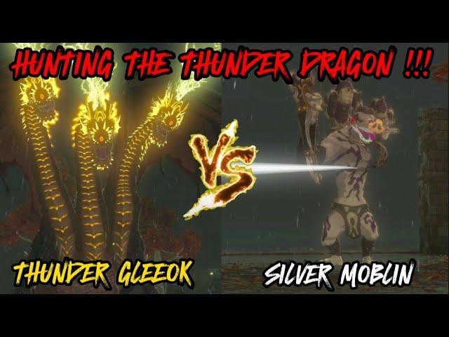 GLEEOK (THUNDER) VS SILVER MOBLIN !! (The Legend of Zelda: Tears of the Kingdom)