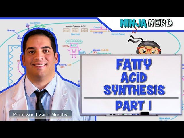 Metabolism | Fatty Acid Synthesis: Part 1