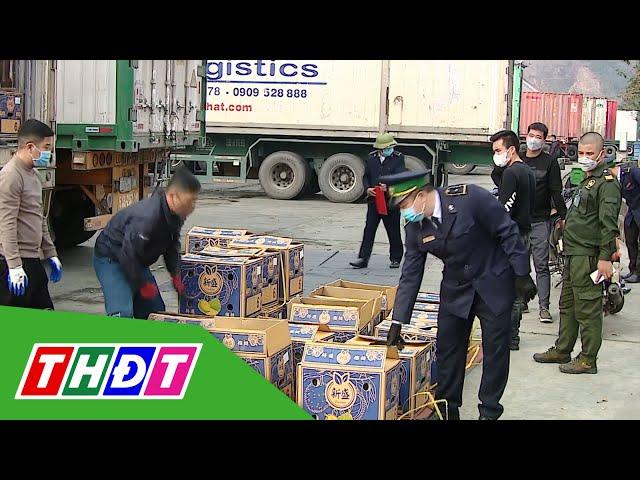 Dự báo xuất khẩu rau quả Việt Nam sẽ tiếp tục thuận lợi | THDT