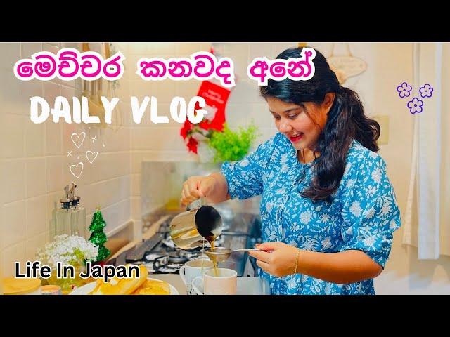 වැඩට ගිහින් ආයේ අපි දෙන්නා වැඩ⁣️ | Life In Japan #vlog #trending #viral #japan #srilanka #cooking