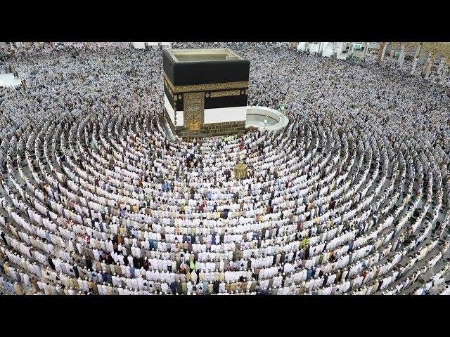 Thousands of Muslim worshippers perform prayers around the Kaaba