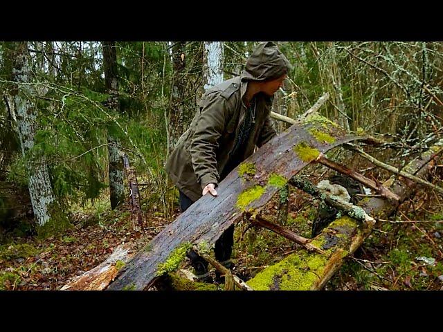 How to build a shelter from tree bark to avoid rain, build a campfire for warmth -Life in the forest