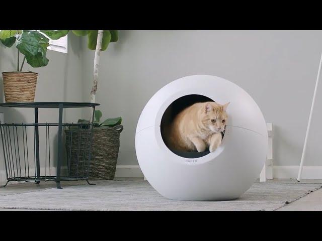 Top 10 Most Amazing Gadgets for your Pet || Dintalks