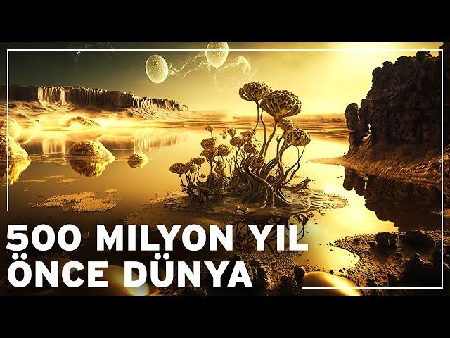 Dünya 500 milyon yıl önce nasıl bir yerdi? | Dünyanın Belgesel Tarihi