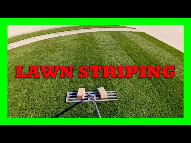 Lawn Care: Striping with a lawn leveler!