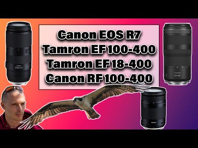 Canon R7 | Tamron 100-400mm Vs Tamron 18-400mm Vs Canon RF 100-400mm Lenses | Wildlife Photography