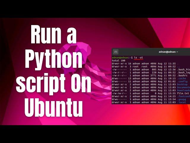 How to run a Python script On Ubuntu 22.04 LTS / Ubuntu 24.04 LTS Linux