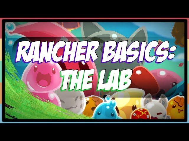 Slime Rancher Basics : The Lab (Slime Science)