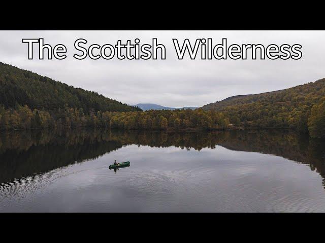 Connecting to Nature in the Scottish Wilderness