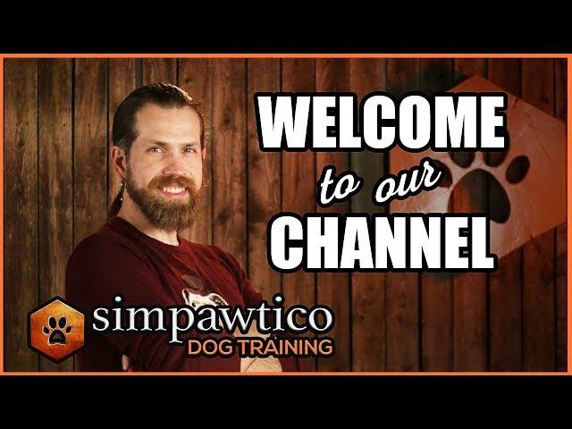 Welcome to the Simpawtico Dog Training YouTube Channel!