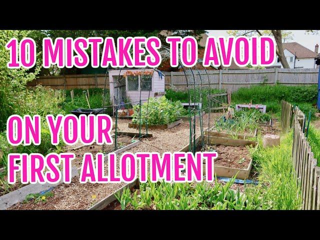 10 MISTAKES TO AVOID ON YOUR FIRST ALLOTMENT PLOT / ALLOTMENT GARDENING FOR BEGINNERS