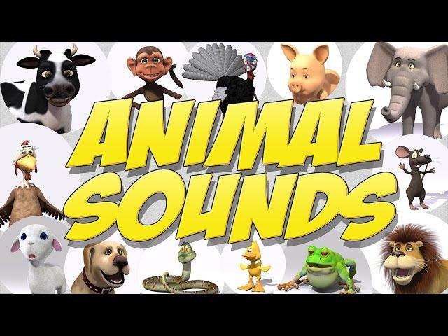 Learn Animal Sounds