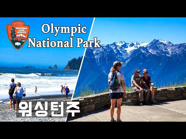[미국 서부 워싱턴주 국립공원 Part 2] 자연 그대로 웅장한 올림픽 국립공원 #olympicnationalpark