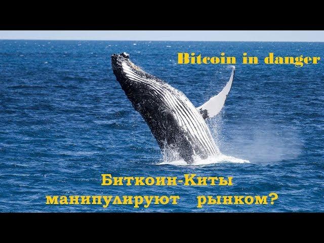 Как Биткоин-киты создают волны и влияют на рынок криптовалют