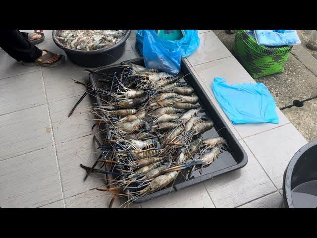 Bermacam ada jual di Tamu Bekenu, udang Galah pun banyak disini