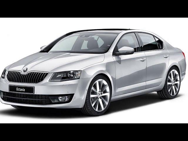 Восстановление амортизатора   Skoda Octavia (Шкода Октавия)