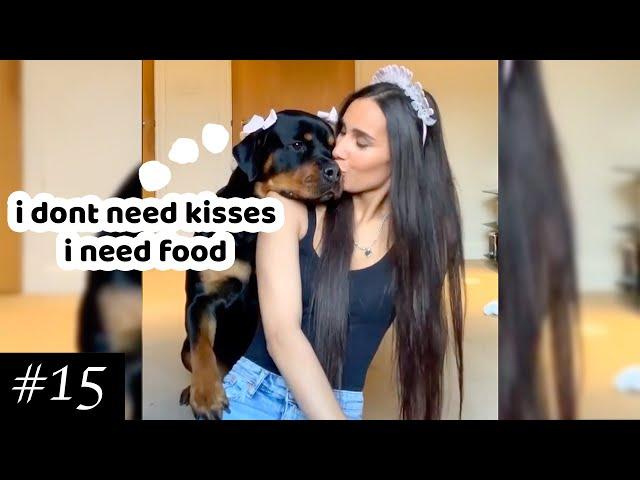 Funny Dogs Compilation 2021   | Ultimate Cutest Videos | Try Not To Laugh | Awesome Pets & Puppies