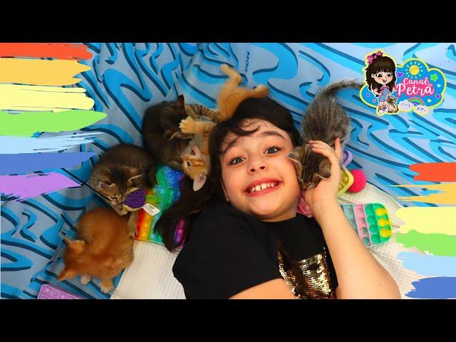 MEUS GATINHOS BEBÊS FILHOTES FOFOS ESTÃO CRESCENDO !!! VLOG DA PETRA