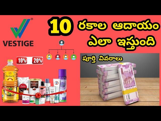 vestige business plan in telugu | vestige Telugu | 10 types income | full details in Telugu|vestige.