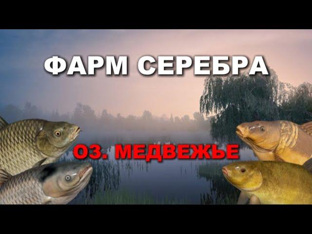 ФАРМ СЕРЕБРА НА МЕДВЕЖКЕ || РР4