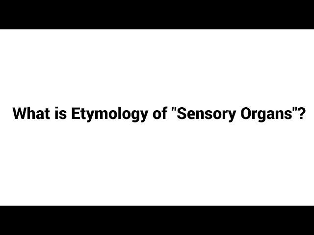 What is Etymology of  Sensory Organs ?