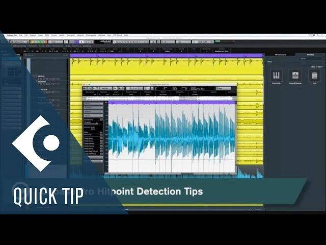 Hitpoint Detection | Audio Editing and Warping