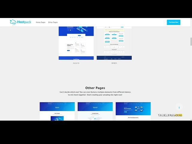 Hostpack Responsive Hosting HTML Template hosting business web hosting Minori