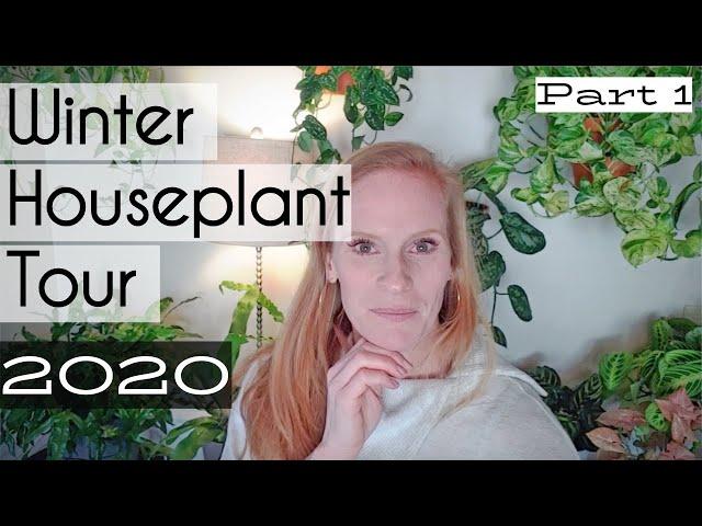 Winter Houseplant Tour part 1 | Houseplant Tour 2020 | Plant Tour