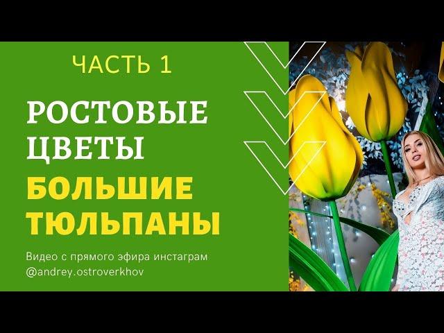 Большой тюльпан Ростовые Цветы Мастер-класс ЧАСТЬ 1