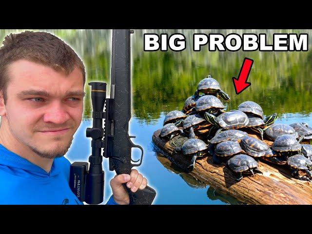 This Pond is INFESTED with Turtles!