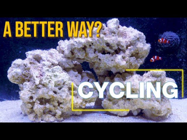 Today’s Cycling Techniques: 10 Questions That Guarantee a Better Cycle and Healthier Aquarium.