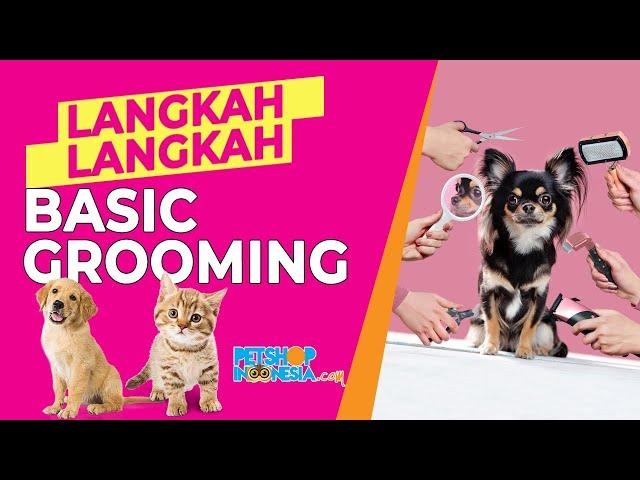 Langkah - Langkah Basic Grooming | Petshop Indonesia