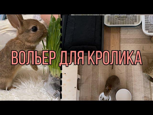 Вольер для кролика| Переезд| Купили кролика