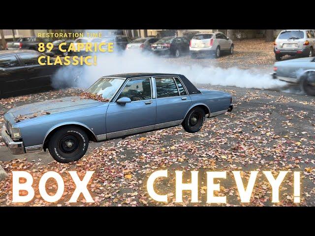 1989 Caprice Classic Build! Restoration Time!!!! Ep.1 INTRODUCTION