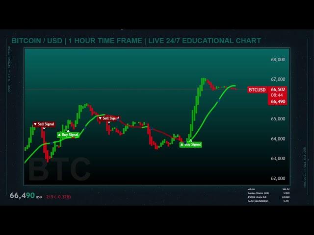 BITCOIN LIVE CHART ( 1 HOUR TIME FRAME )