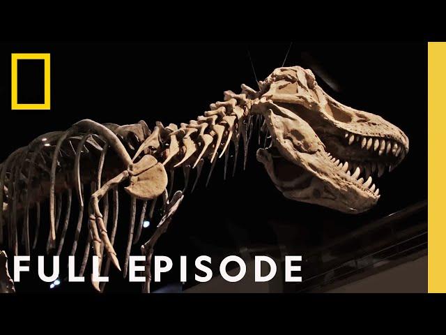 Secrets of the Dinosaurs: The Real Jurassic Americas (Full Episode) | Drain the Oceans