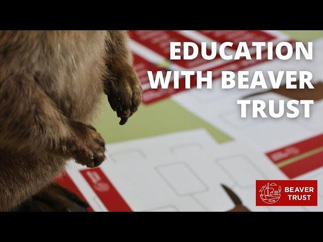 Education with Beaver Trust: Shaping the future of nature connection