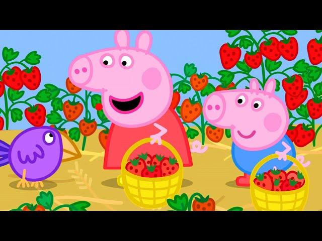 Peppa Wutz | Gartenarbeit mit Peppa und George! | Peppa Pig Wutz | Cartoons für Kinder