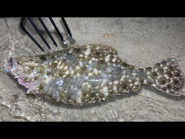 2 Hours of of AMAZING Catch and Cooks (Flounder Gigging, Redfish, Trout, Sheepshead, and Garfish)