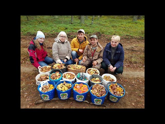 ГРИБНАЯ БАНДА КАЛИНИНГРАДА. клуб любителей природы и сбора грибов и ягод