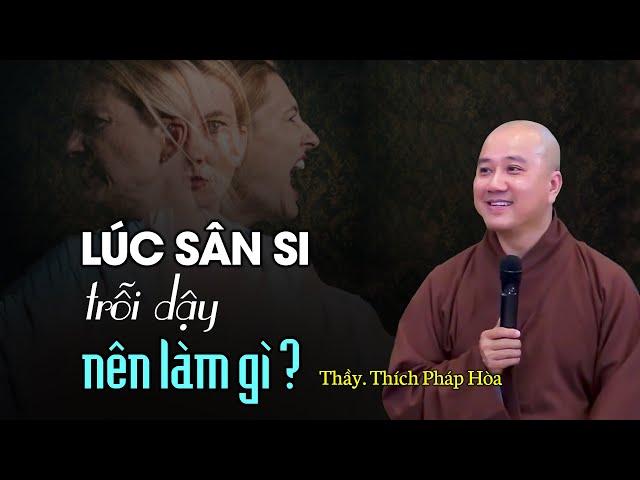 Lúc sân si trỗi dậy ta nên làm gì ? Thầy Thích Pháp Hòa