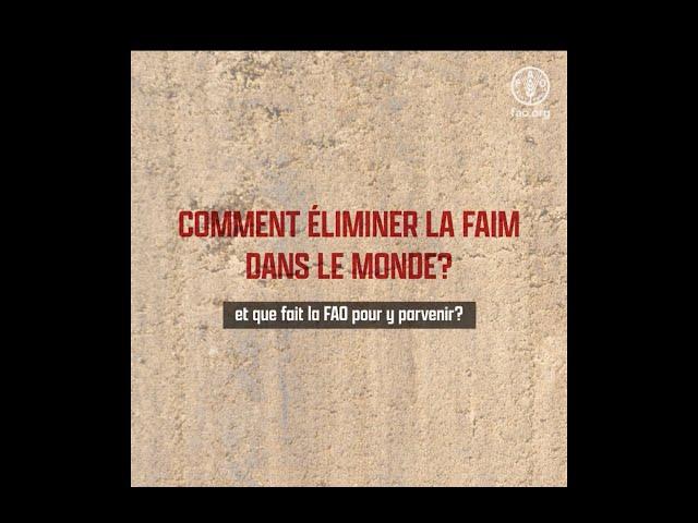 Vidéo explicative de la FAO