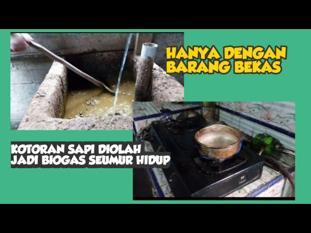 WITH USED ITEMS ONLY, COW dung is turned into FREE BIOGAS FOR LIFETIME