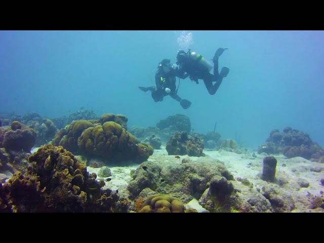 Man stuns girlfriend with underwater proposal